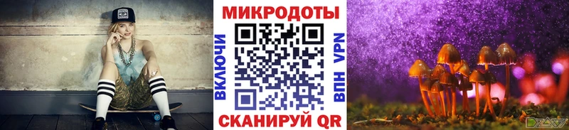 Галлюциногенные грибы Psilocybe  как найти   Пестово 